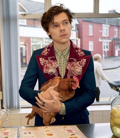 gucci campaign men|Gucci campaign harry styles.